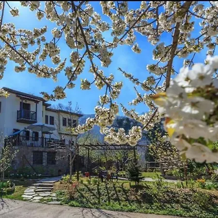 Pelion Maisonette Case de vacanță Tsagarada